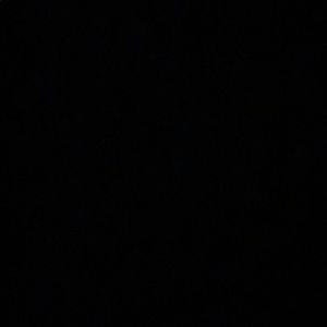 Meet your Posher, Bryant